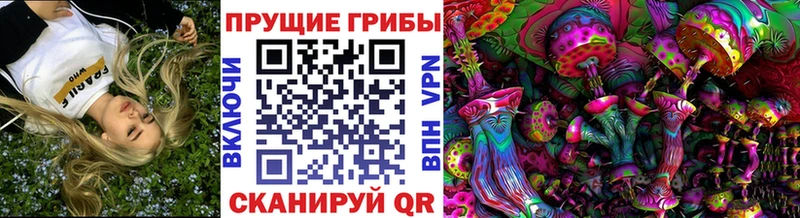 Псилоцибиновые грибы Psilocybe  Белокуриха 